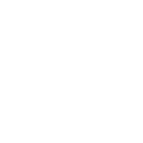 TRANSVIAL-EP Logo